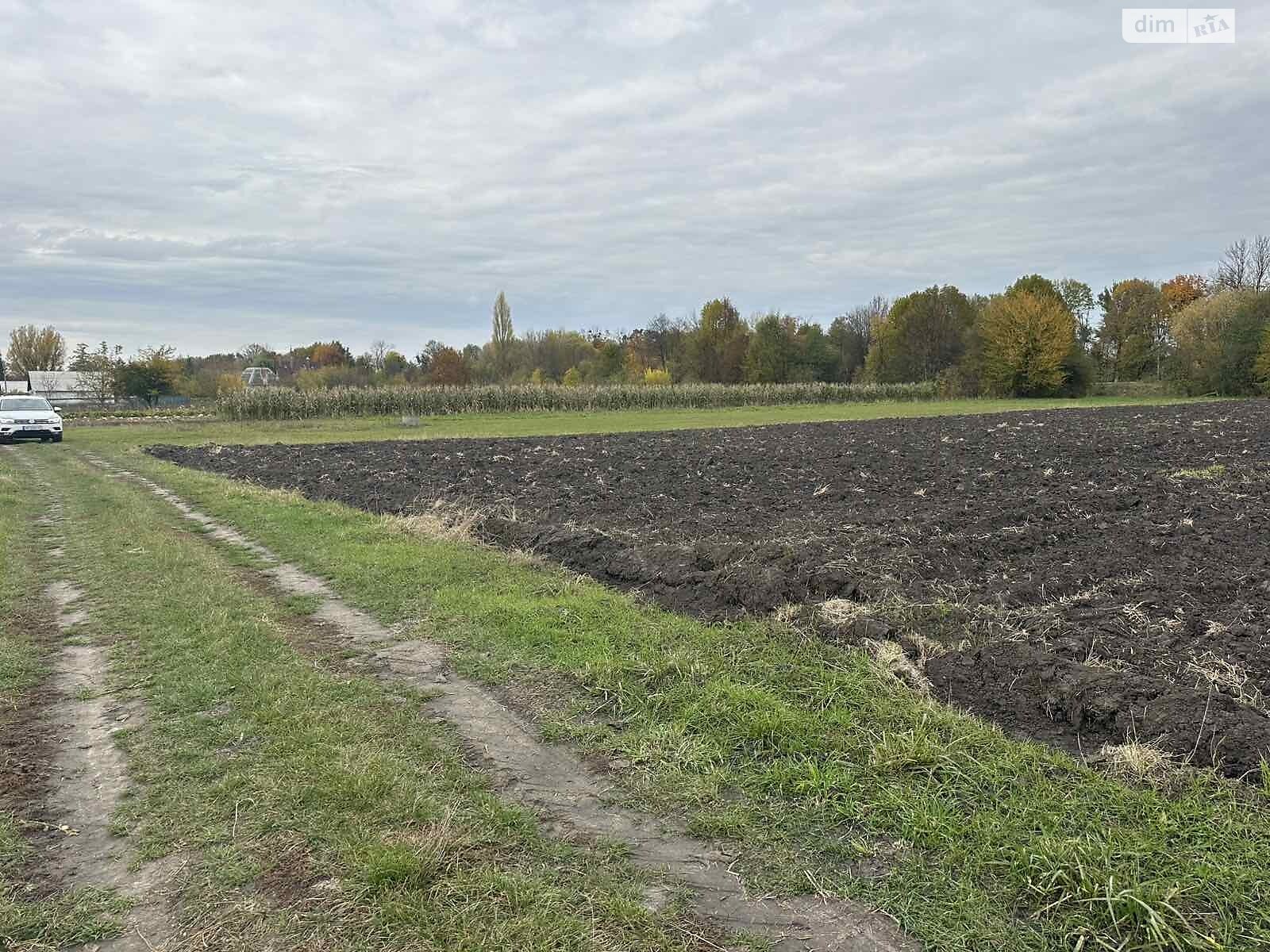 Земельный участок коммерческого назначения в Петрике, площадь 25 соток фото 1 Земельный участок коммерческого назначения в Петрике, площадь 25 соток фото 1