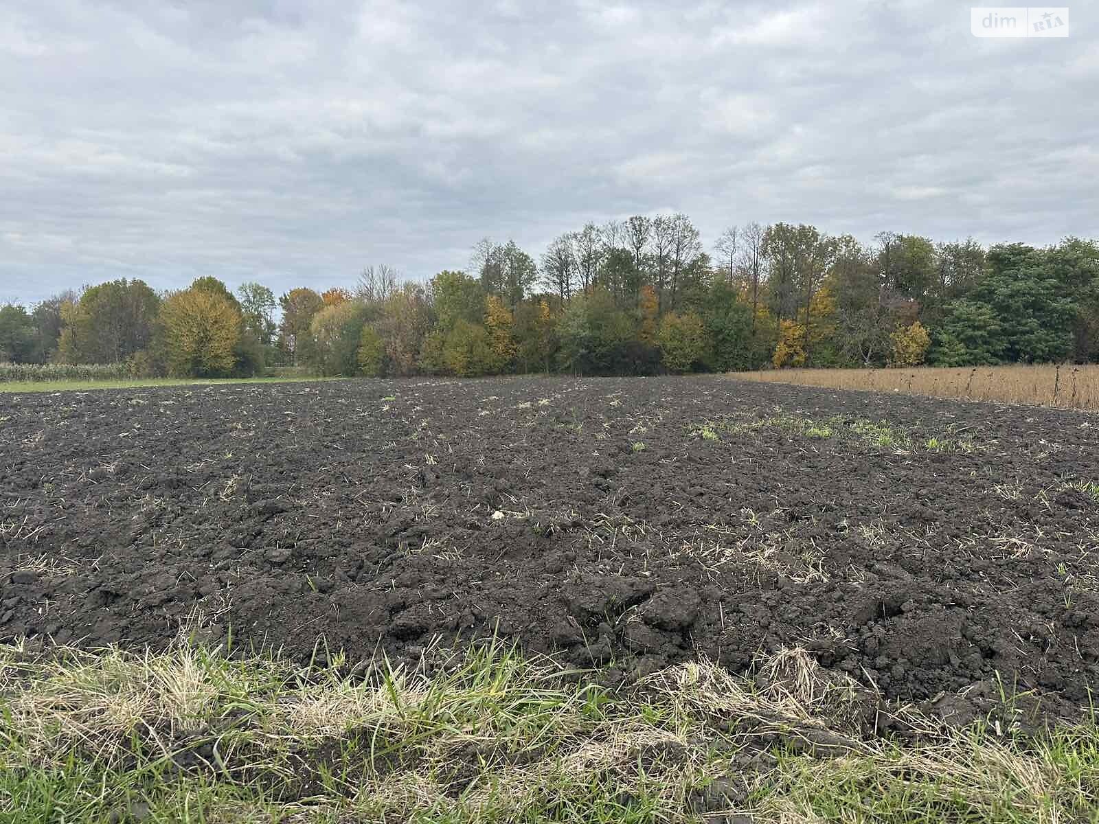 Земельный участок коммерческого назначения в Петрике, площадь 25 соток фото 1 Земельный участок коммерческого назначения в Петрике, площадь 25 соток фото 1