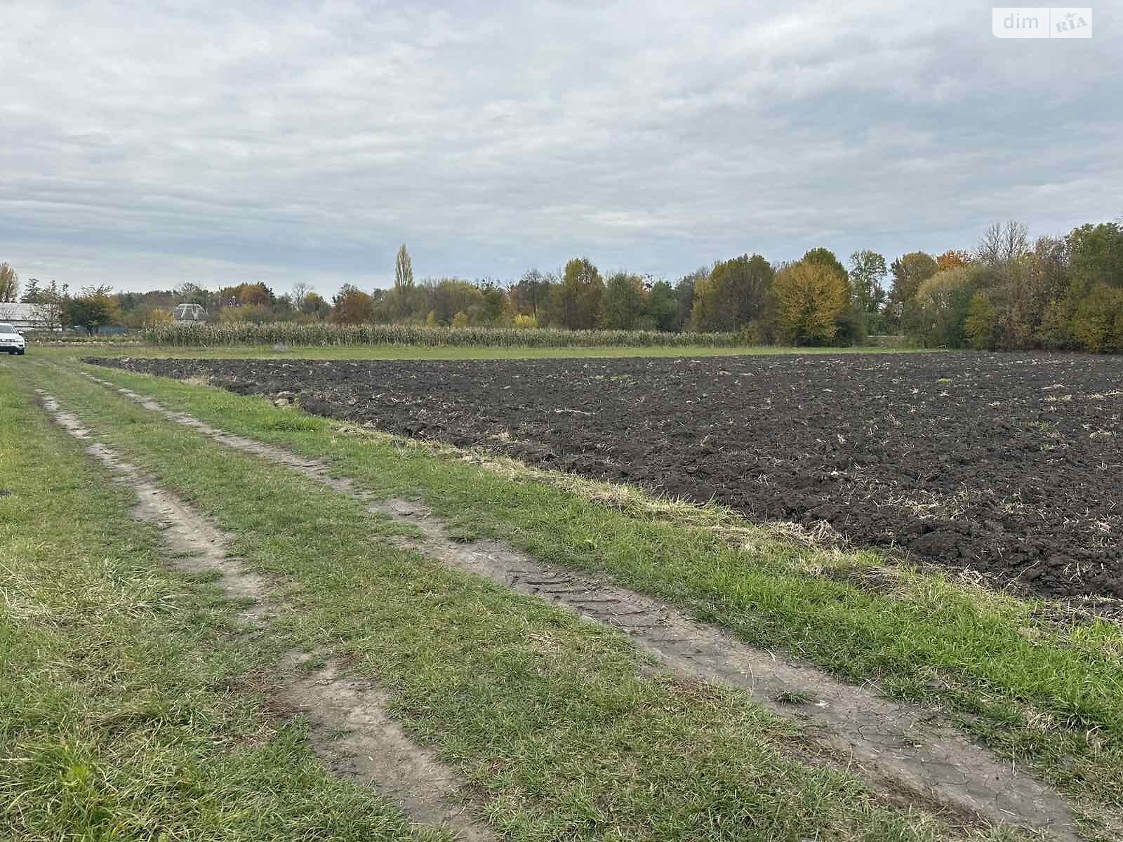 Земельный участок коммерческого назначения в Петрике, площадь 25 соток фото 1 Земельный участок коммерческого назначения в Петрике, площадь 25 соток фото 1