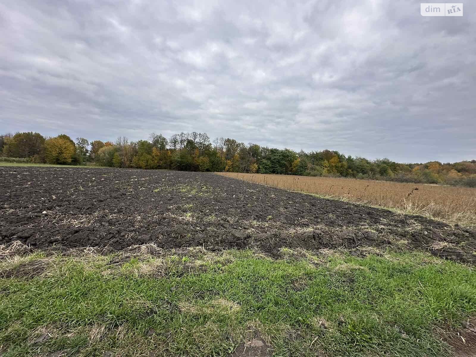 Земельный участок коммерческого назначения в Петрике, площадь 25 соток фото 1 Земельный участок коммерческого назначения в Петрике, площадь 25 соток фото 1