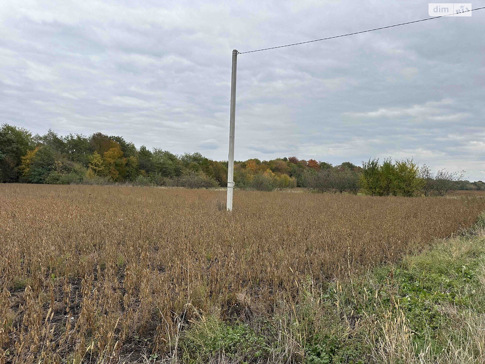 Земельный участок коммерческого назначения в Петрике, площадь 25 соток фото 1 Земельный участок коммерческого назначения в Петрике, площадь 25 соток фото 1