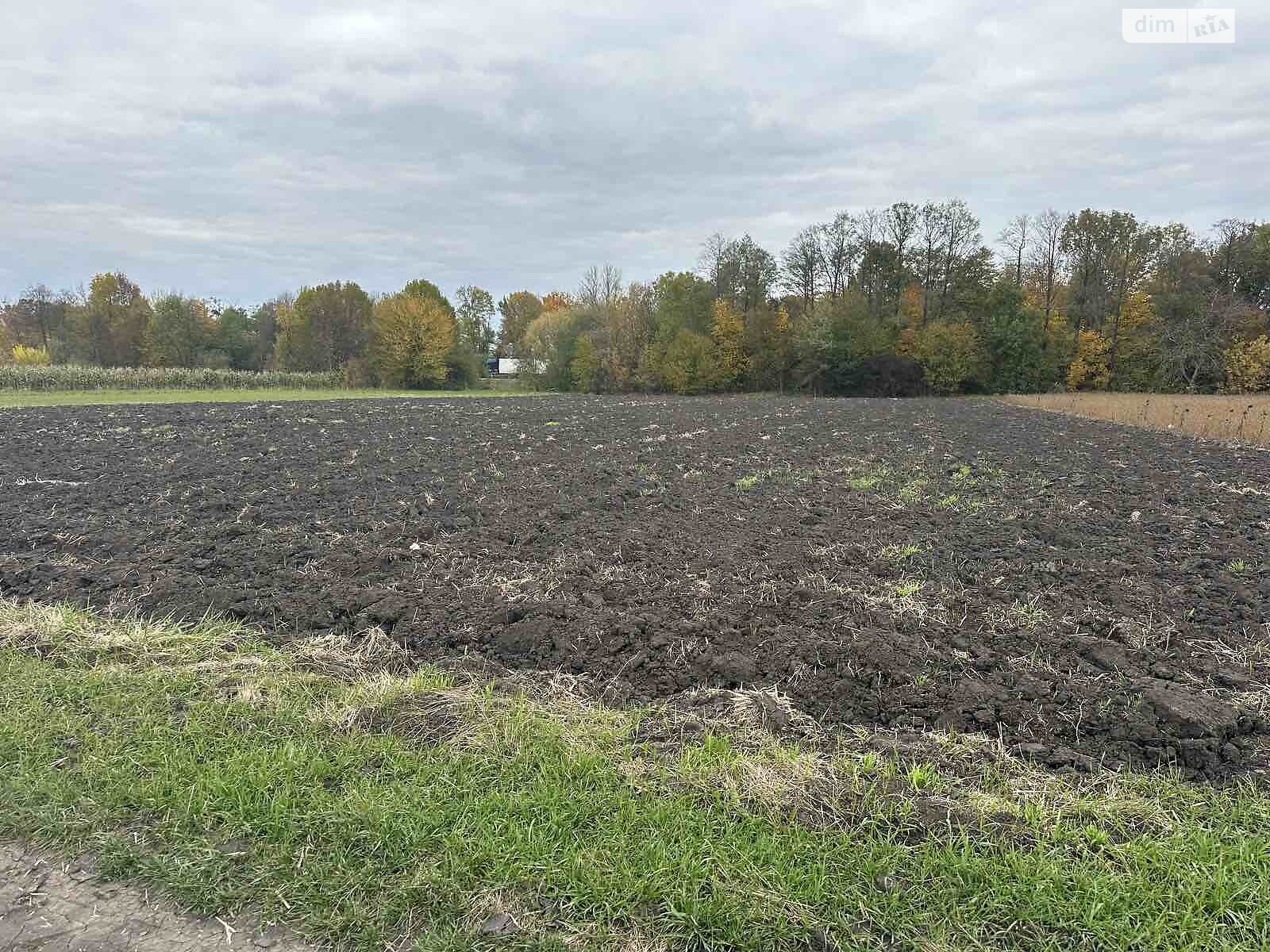 Земельный участок коммерческого назначения в Петрике, площадь 25 соток фото 1 Земельный участок коммерческого назначения в Петрике, площадь 25 соток фото 1