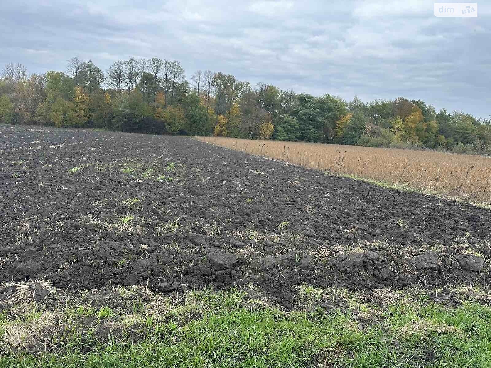 Земельный участок коммерческого назначения в Петрике, площадь 25 соток фото 1 Земельный участок коммерческого назначения в Петрике, площадь 25 соток фото 1