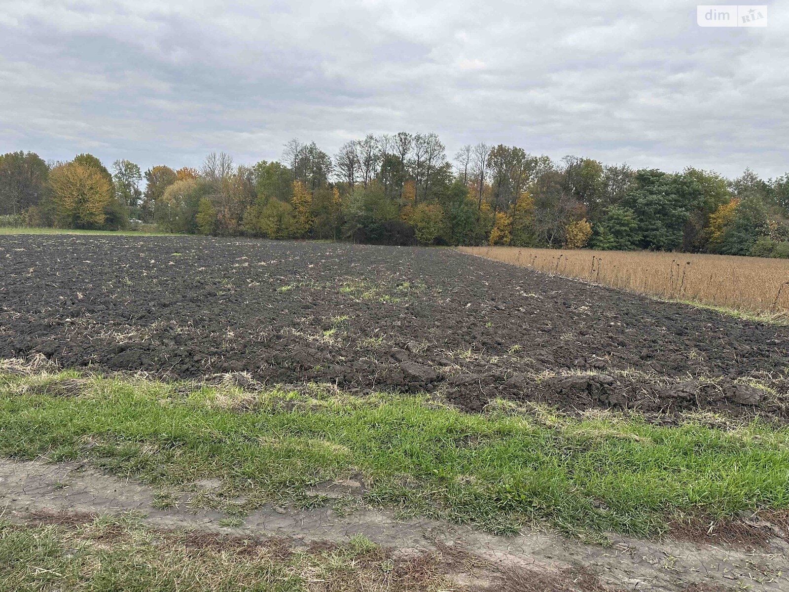 Земельный участок коммерческого назначения в Петрике, площадь 25 соток фото 1 Земельный участок коммерческого назначения в Петрике, площадь 25 соток фото 1