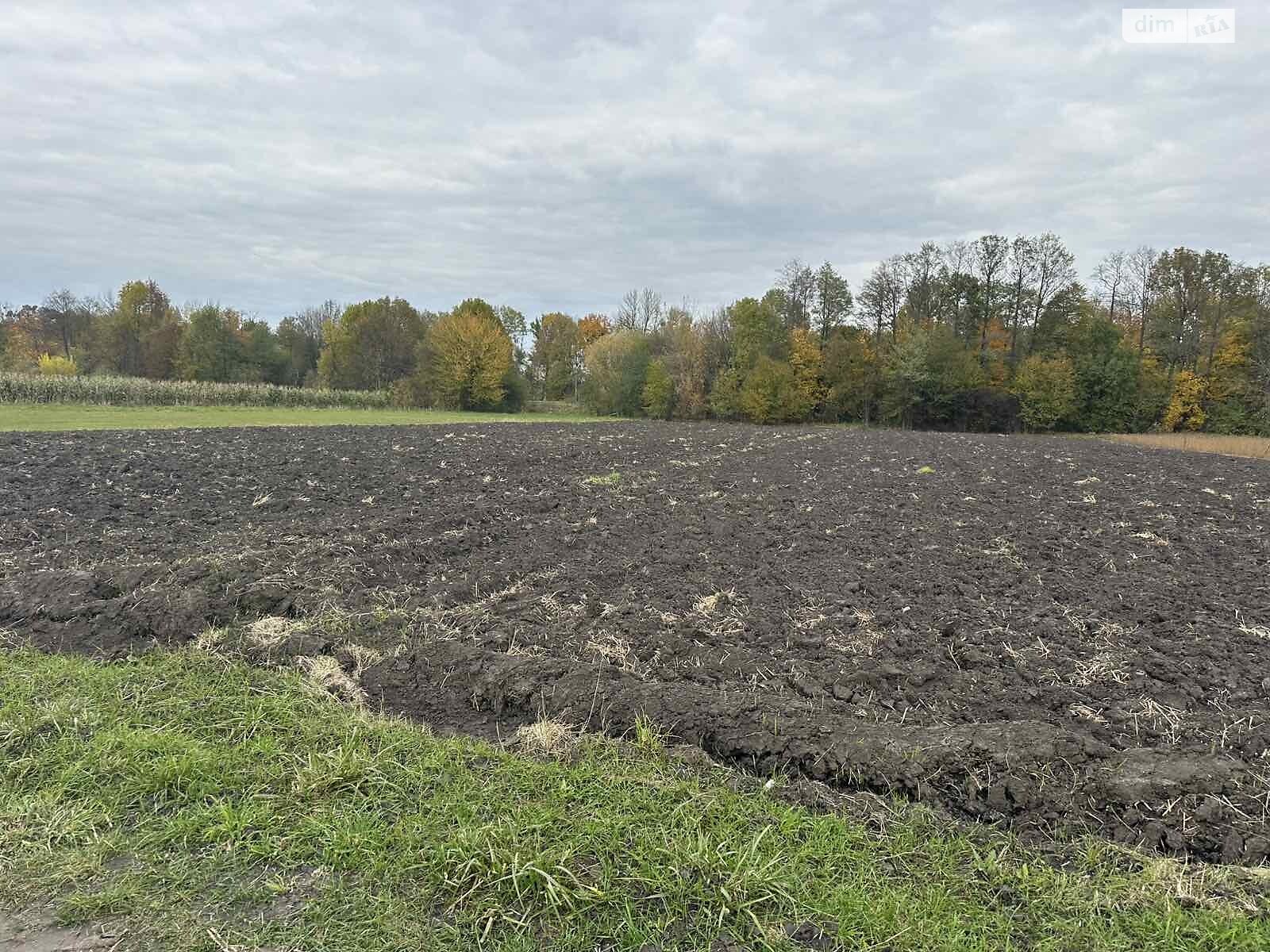 Земельный участок коммерческого назначения в Петрике, площадь 25 соток фото 1 Земельный участок коммерческого назначения в Петрике, площадь 25 соток фото 1