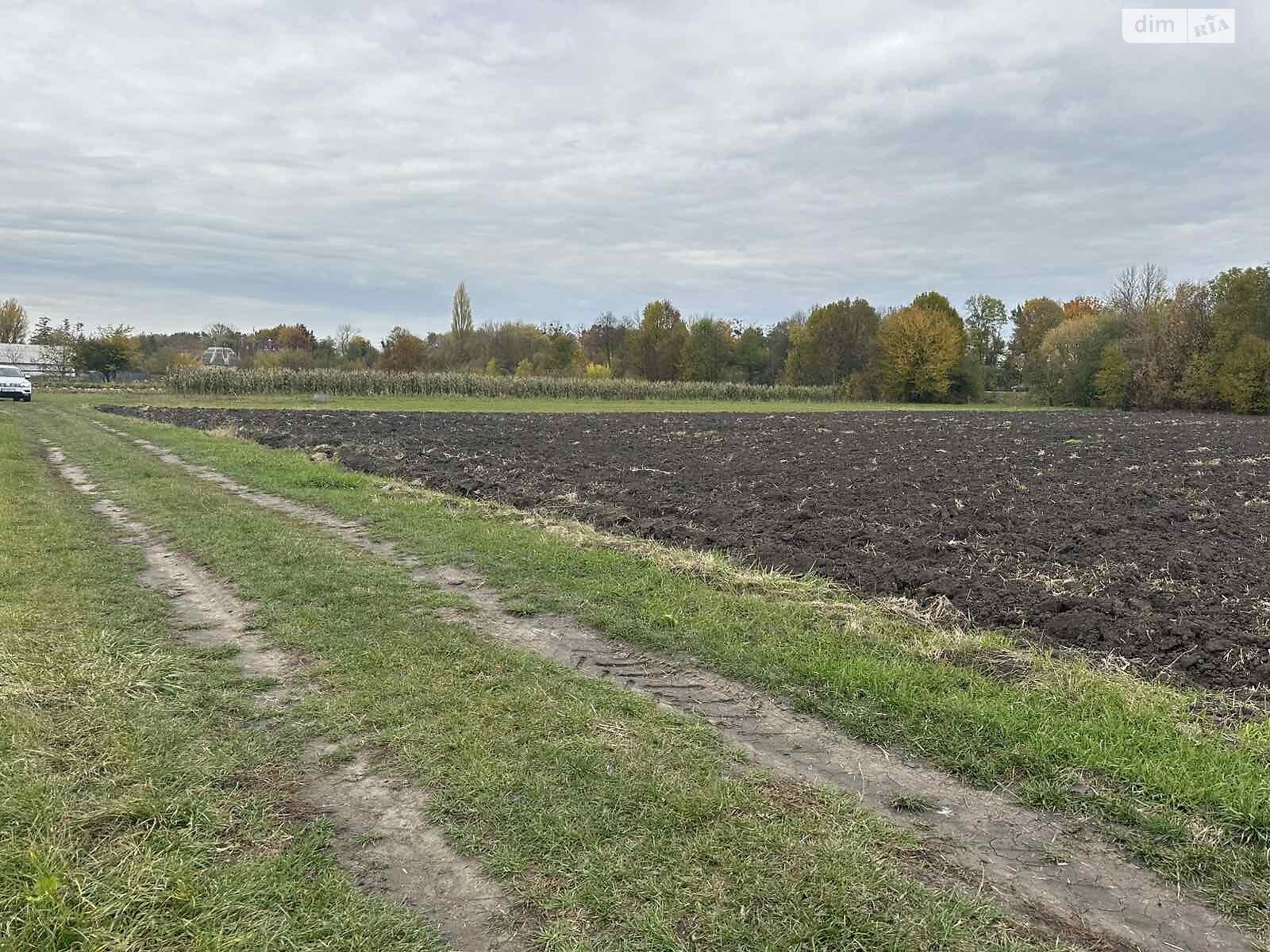 Земельный участок коммерческого назначения в Петрике, площадь 25 соток фото 1 Земельный участок коммерческого назначения в Петрике, площадь 25 соток фото 1