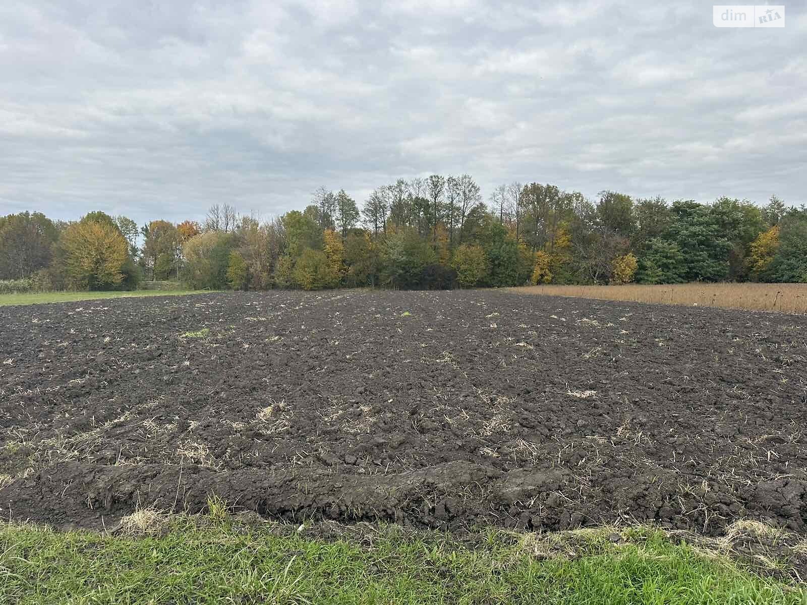 Земельный участок коммерческого назначения в Петрике, площадь 25 соток фото 1 Земельный участок коммерческого назначения в Петрике, площадь 25 соток фото 1