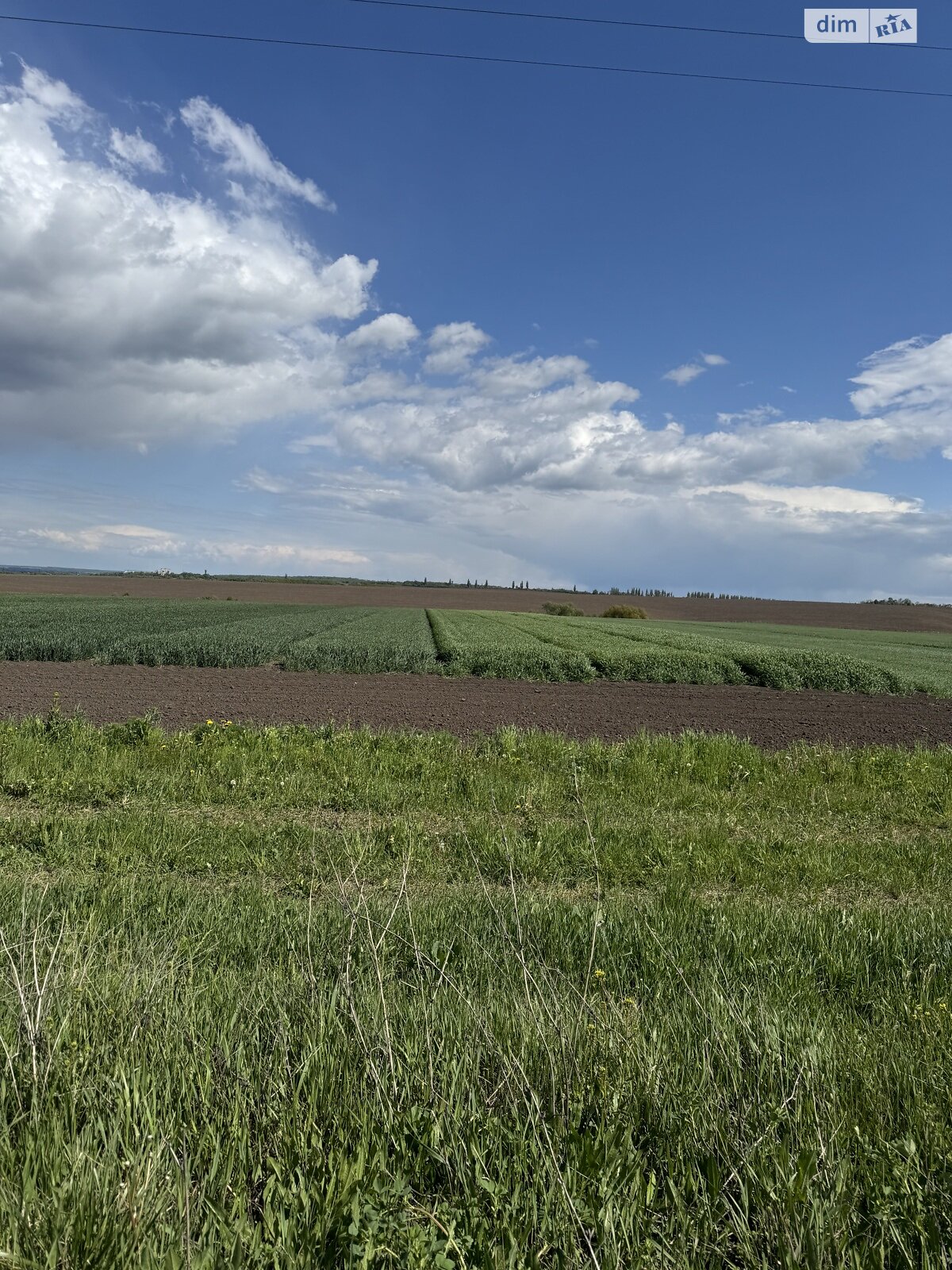 Земельна ділянка комерційного призначення в Пирогівцях, площа 400 соток фото 1 Земельна ділянка комерційного призначення в Пирогівцях, площа 400 соток фото 1