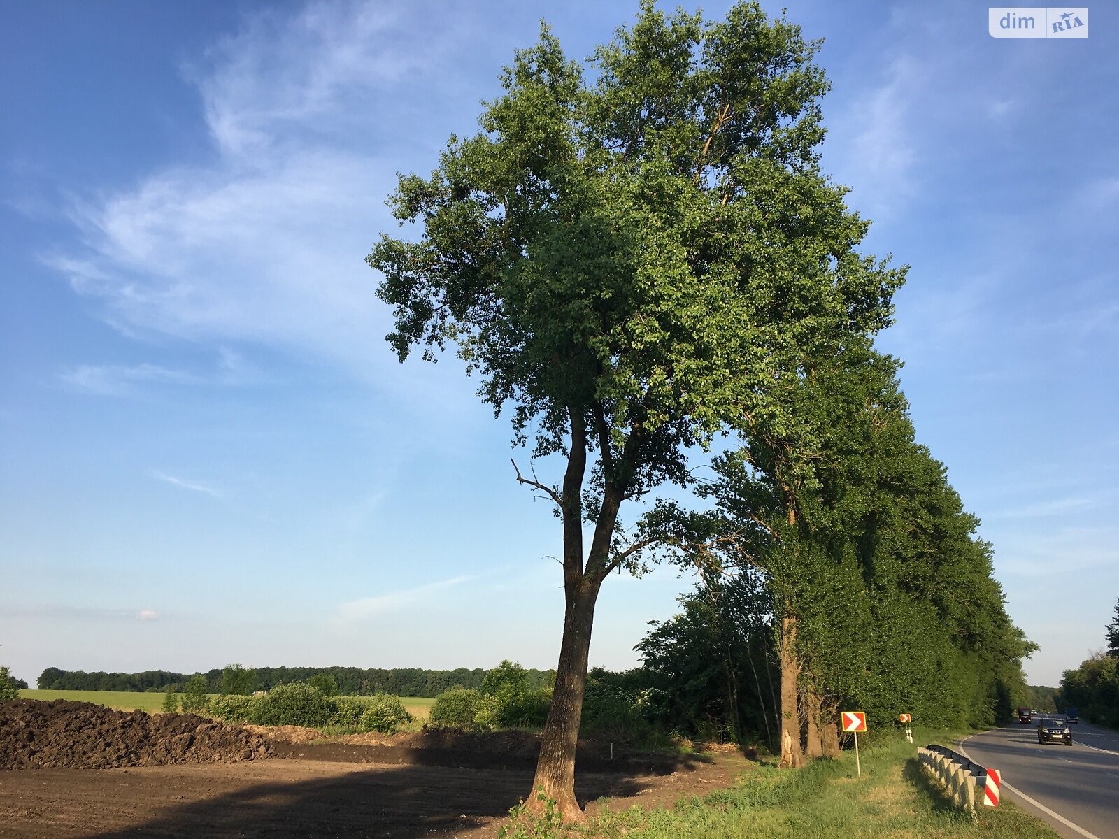 Земельна ділянка комерційного призначення в Писарівці, площа 1 Га фото 1