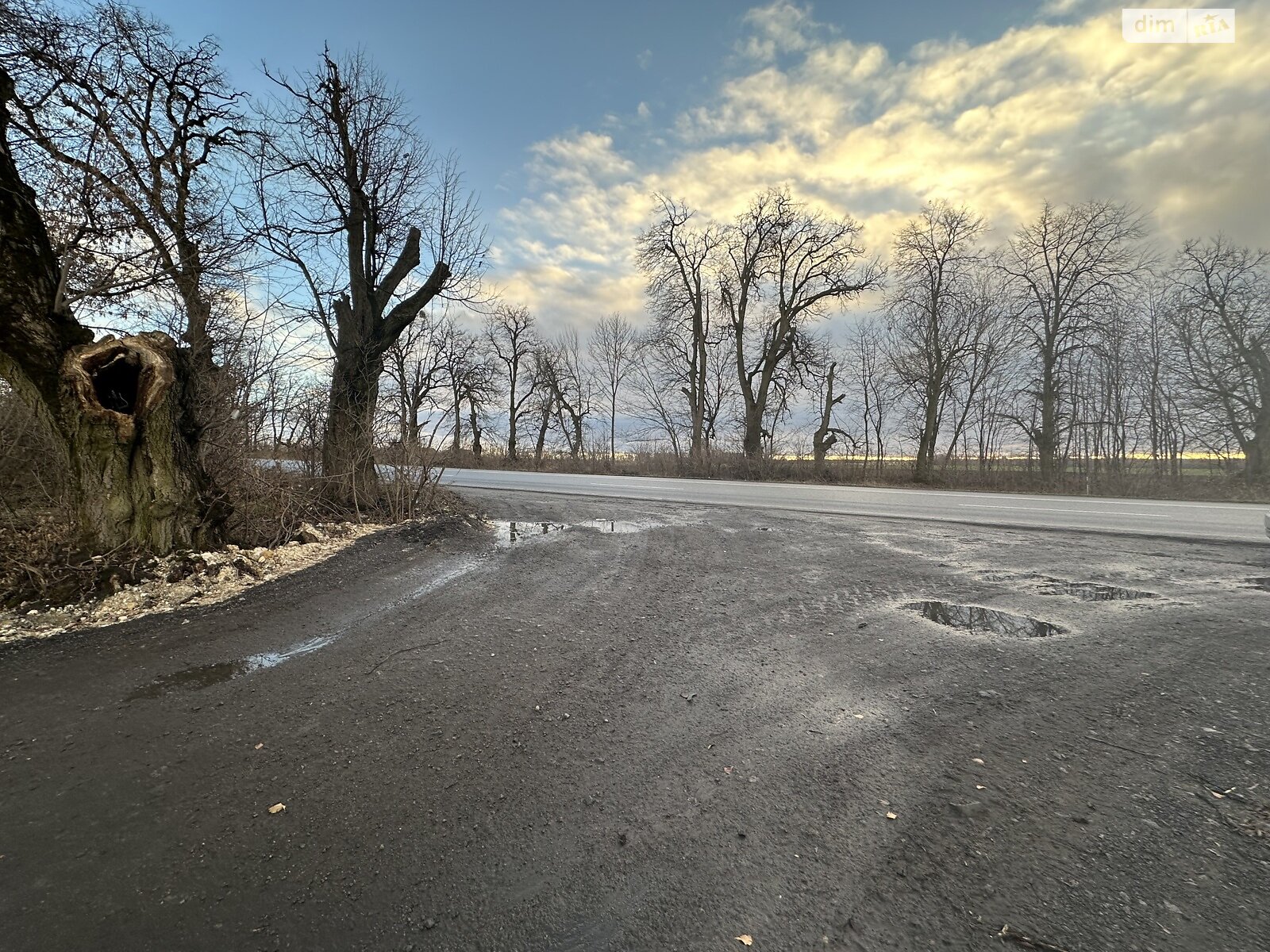 Земельна ділянка комерційного призначення в Писарівці, площа 1 Га фото 1