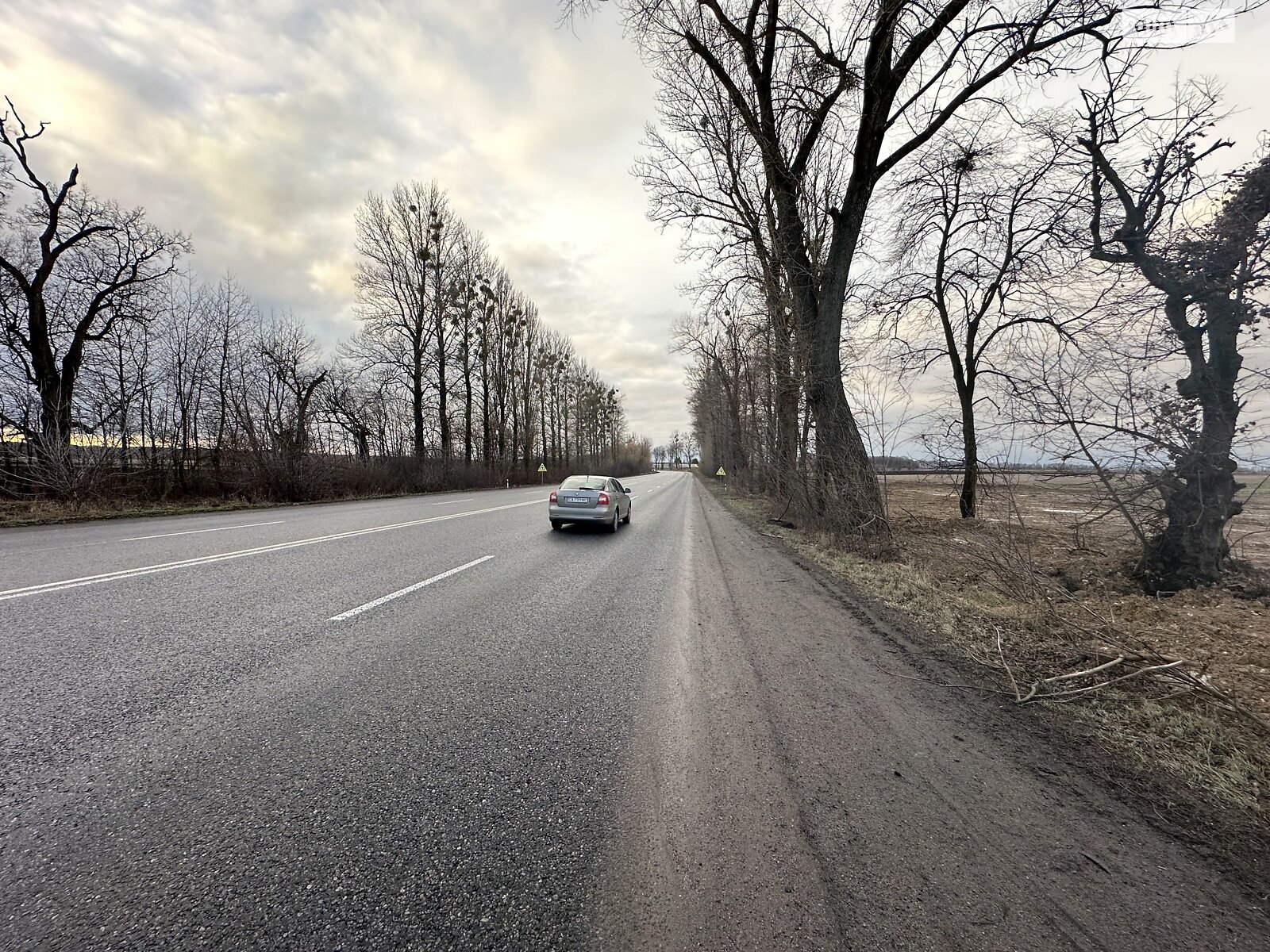 Земельна ділянка комерційного призначення в Писарівці, площа 1 Га фото 1