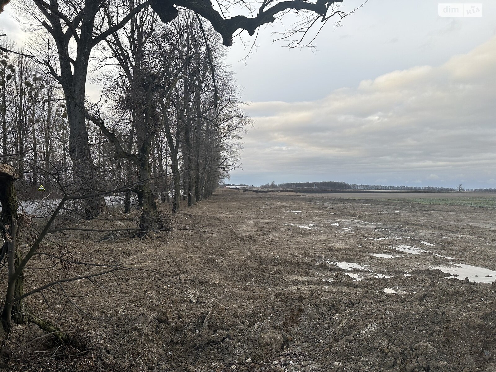 Земельна ділянка комерційного призначення в Писарівці, площа 1 Га фото 1