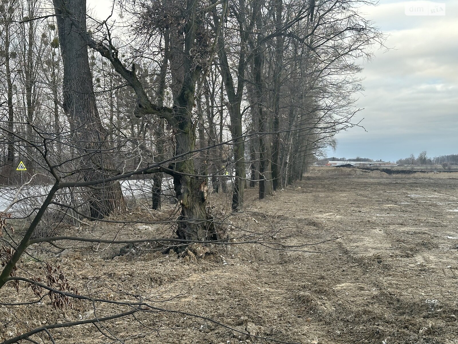 Земельна ділянка комерційного призначення в Писарівці, площа 1 Га фото 1