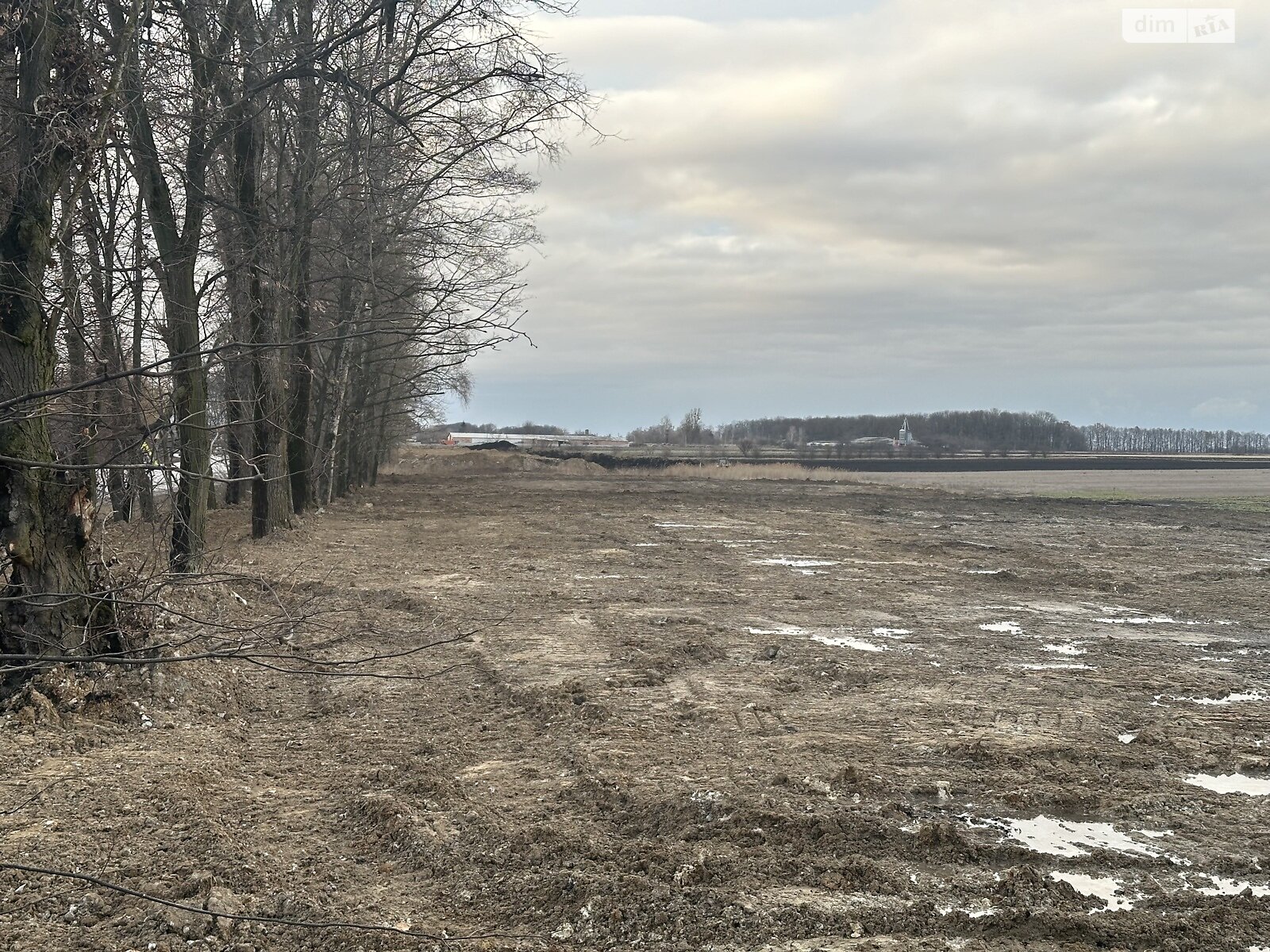 Земельна ділянка комерційного призначення в Писарівці, площа 1 Га фото 1