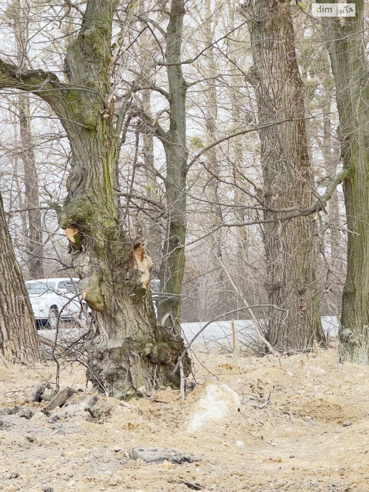 Земельный участок коммерческого назначения в Писаревке, площадь 4 Га фото 1