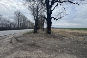 Земельна ділянка комерційного призначення в Писарівці, площа 4.54 Га фото 2