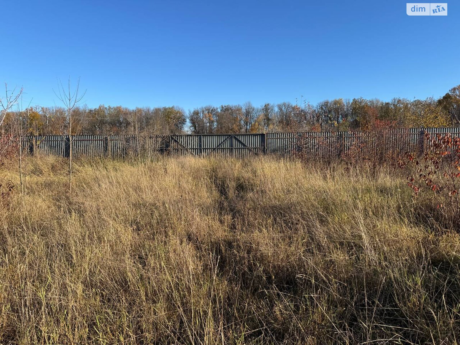 Земельный участок коммерческого назначения в Писаревке, площадь 1.1 Га фото 1