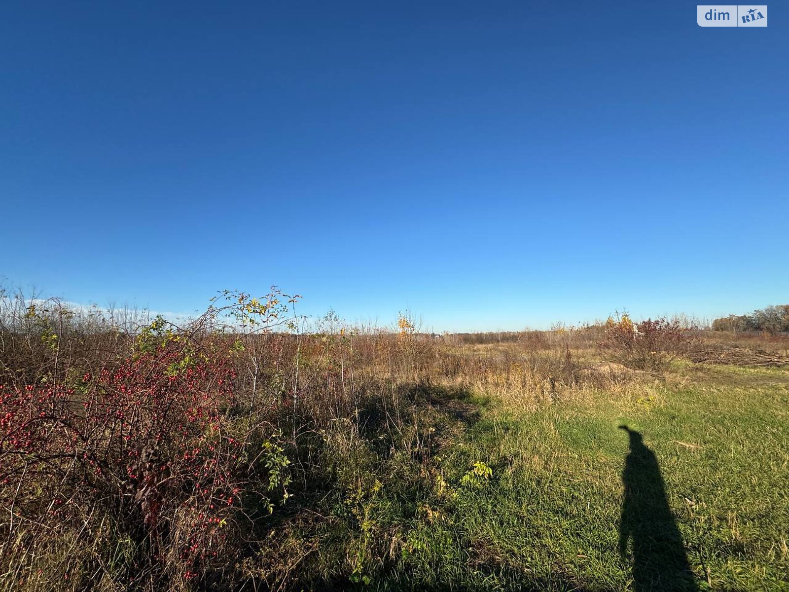 Земельный участок коммерческого назначения в Писаревке, площадь 1.1 Га фото 1