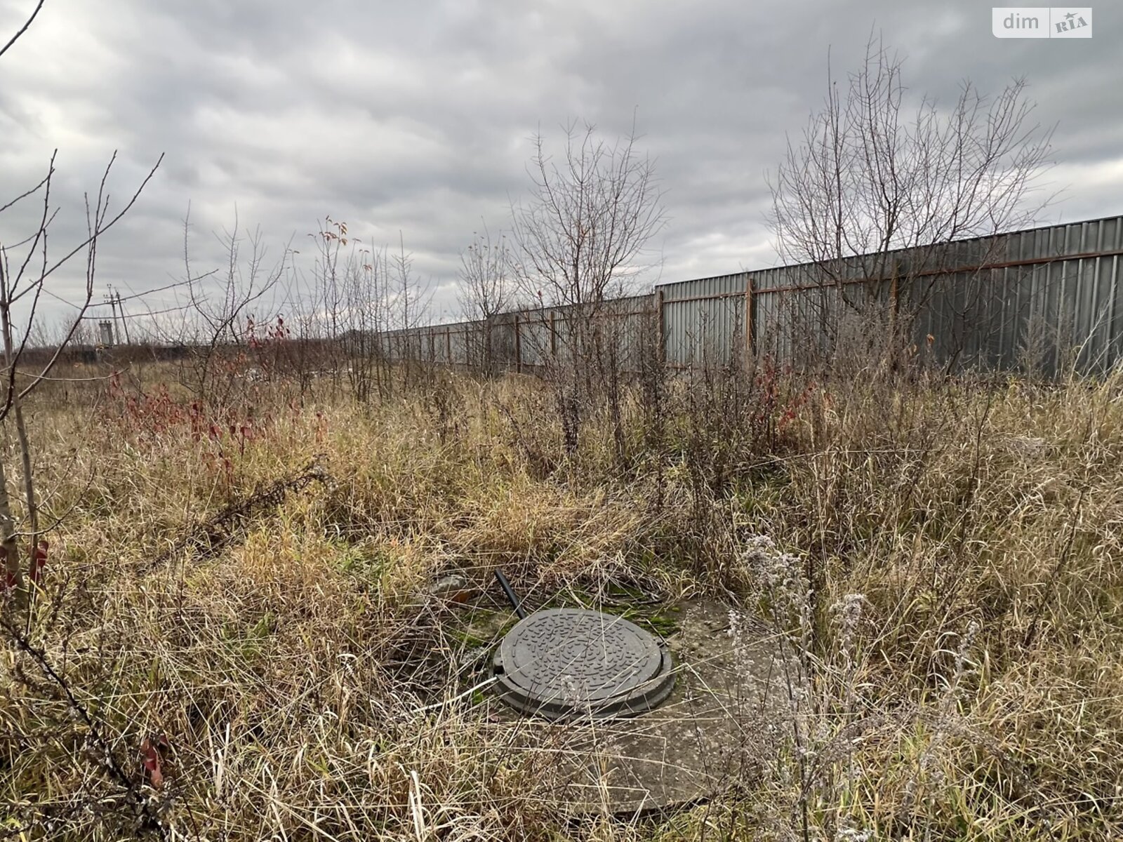 Земельный участок коммерческого назначения в Писаревке, площадь 1.1 Га фото 1