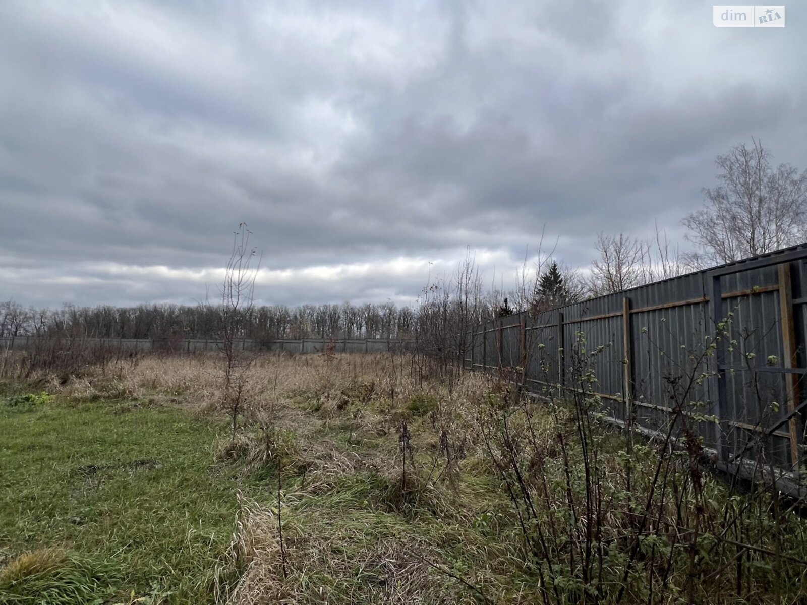 Земельный участок коммерческого назначения в Писаревке, площадь 1.1 Га фото 1