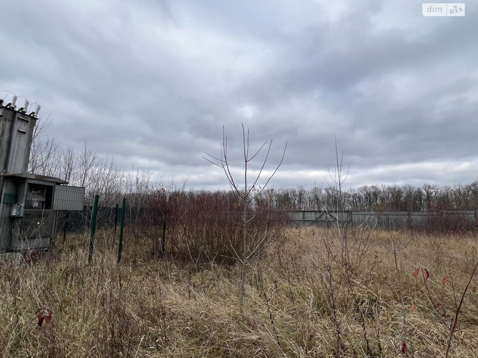 Земельный участок коммерческого назначения в Писаревке, площадь 1.1 Га фото 1