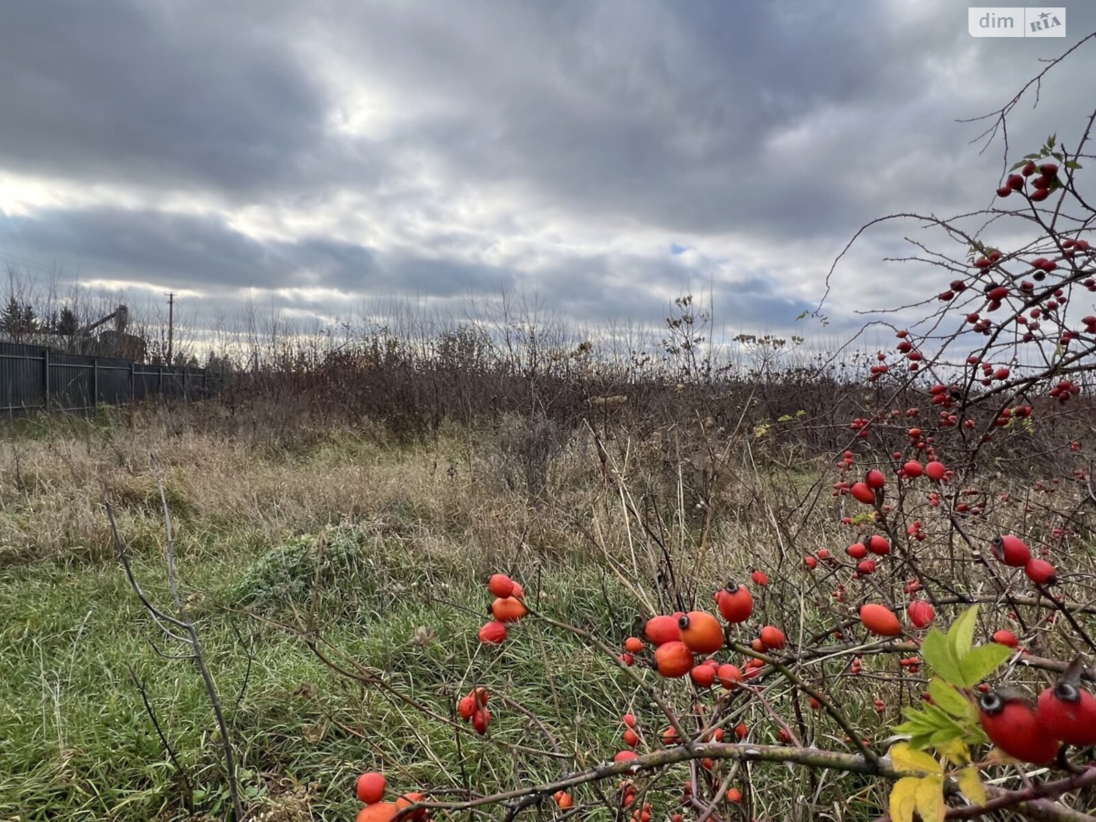 Земельный участок коммерческого назначения в Писаревке, площадь 1.1 Га фото 1
