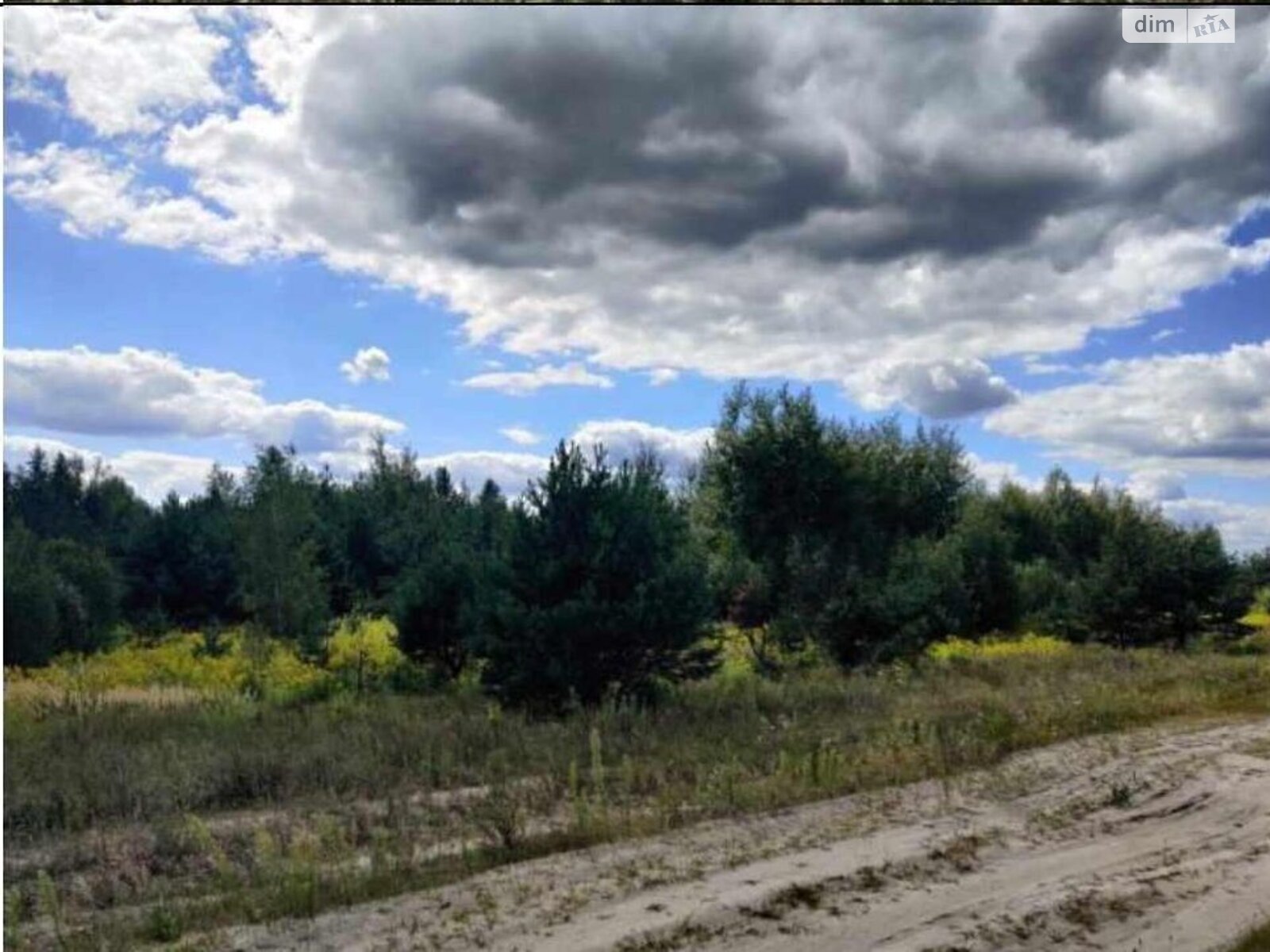 Земельна ділянка комерційного призначення в Покостівці, площа 6.81 Га фото 1