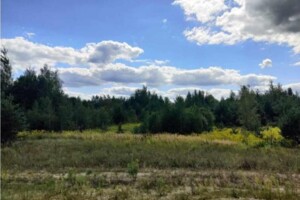 Земельна ділянка комерційного призначення в Покостівці, площа 6.81 Га фото 2