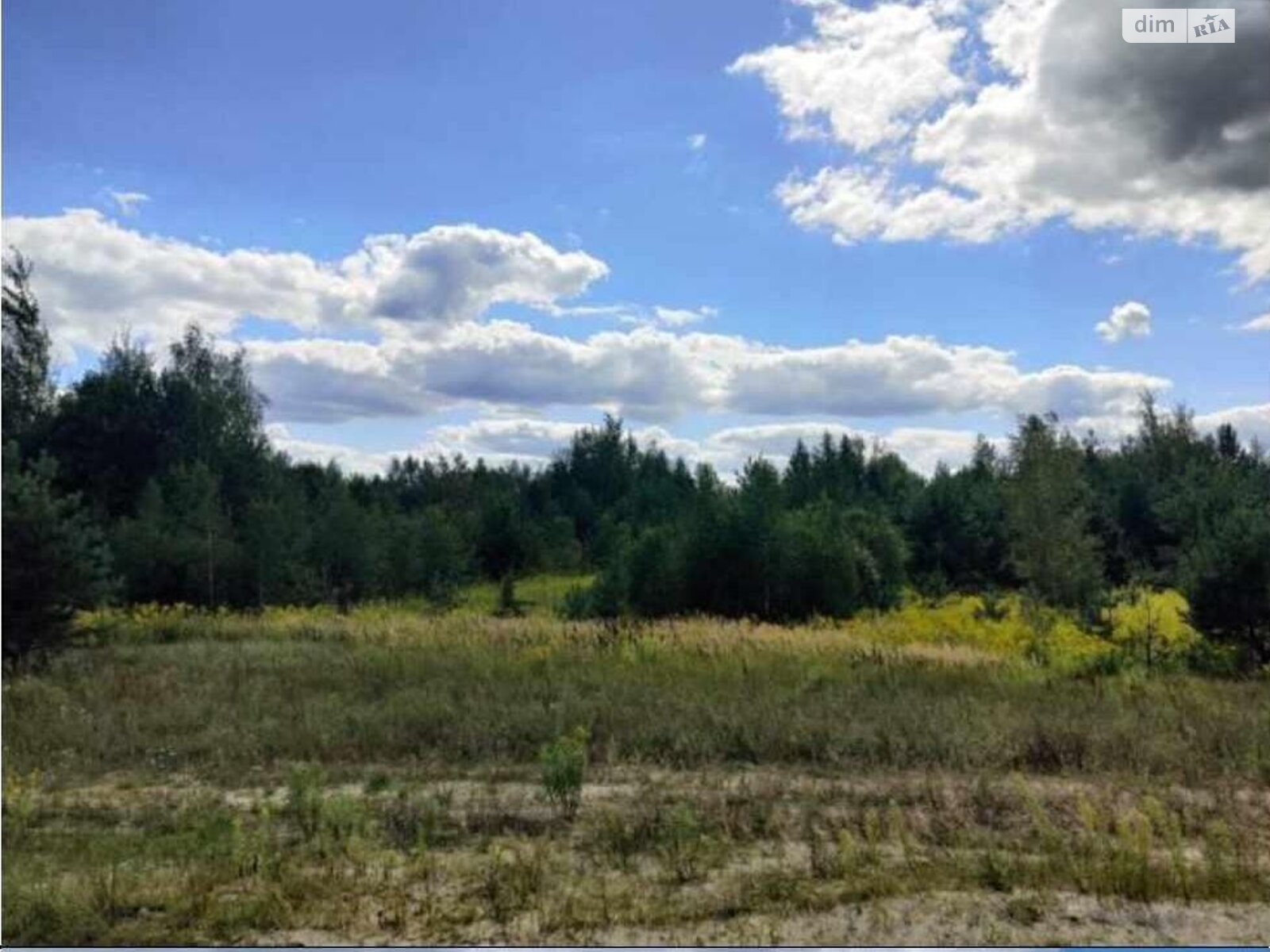 Земельна ділянка комерційного призначення в Покостівці, площа 6.81 Га фото 1