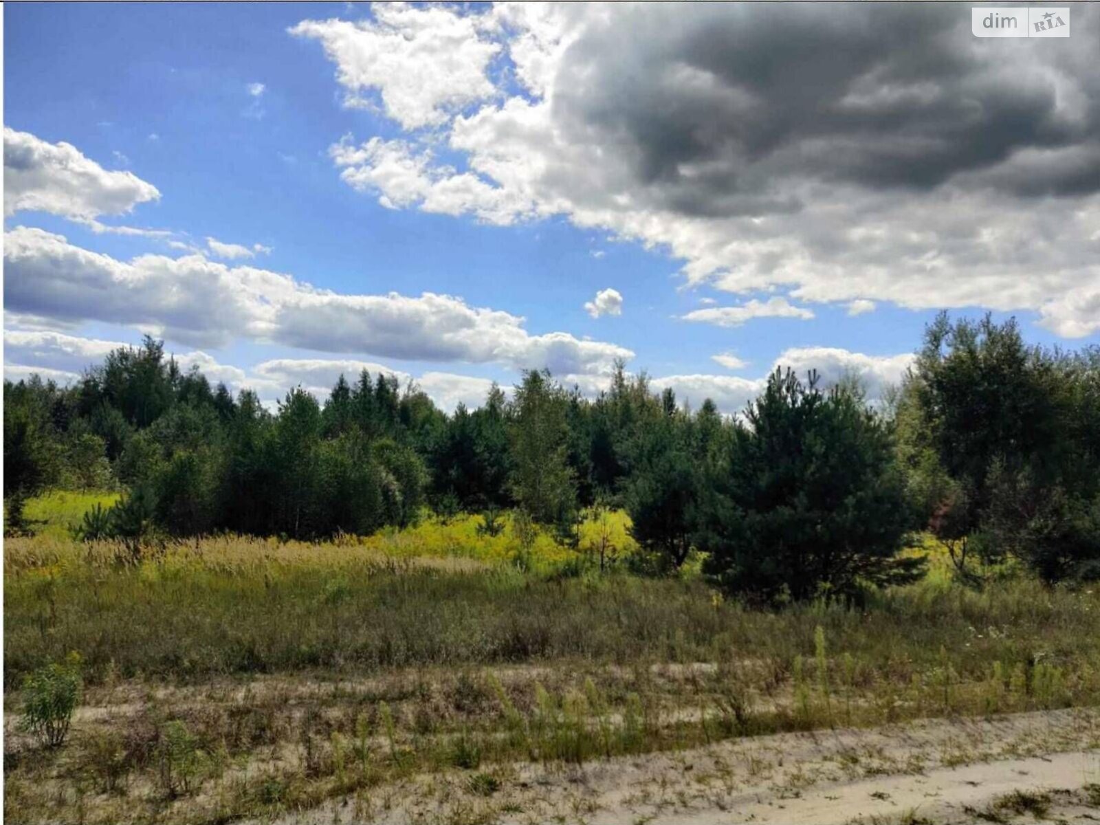 Земельна ділянка комерційного призначення в Покостівці, площа 6.81 Га фото 1