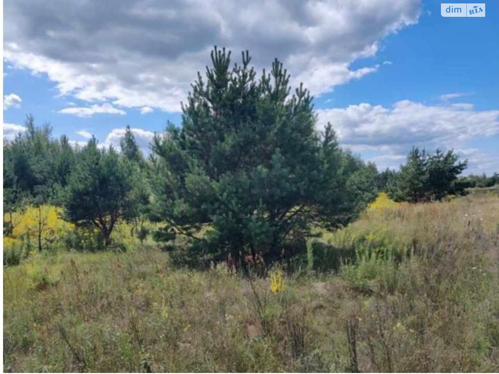 Земельна ділянка комерційного призначення в Покостівці, площа 6.81 Га фото 1