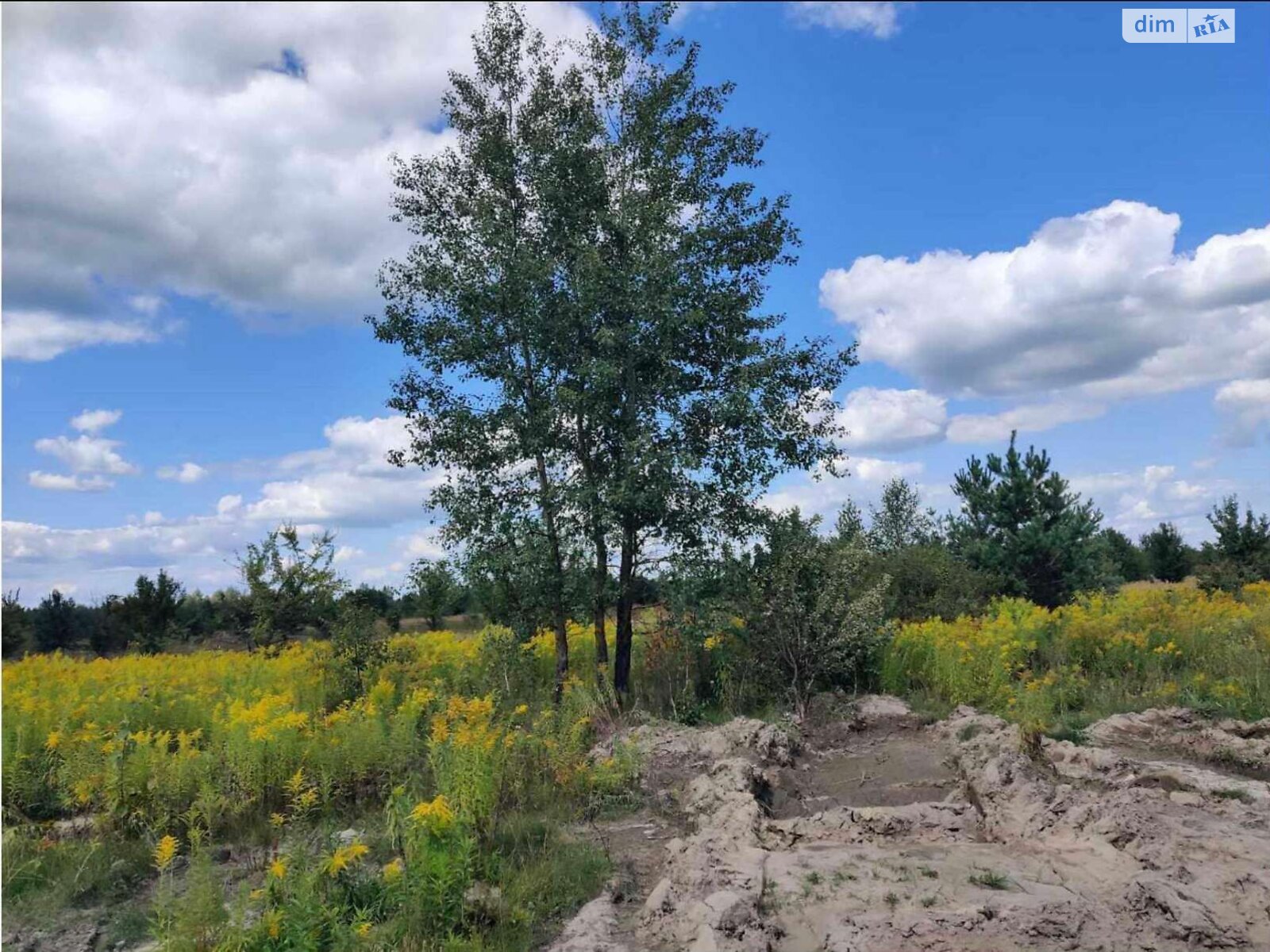 Земельна ділянка комерційного призначення в Покостівці, площа 1.06 Га фото 1