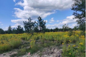 Земельна ділянка комерційного призначення в Покостівці, площа 1.06 Га фото 2
