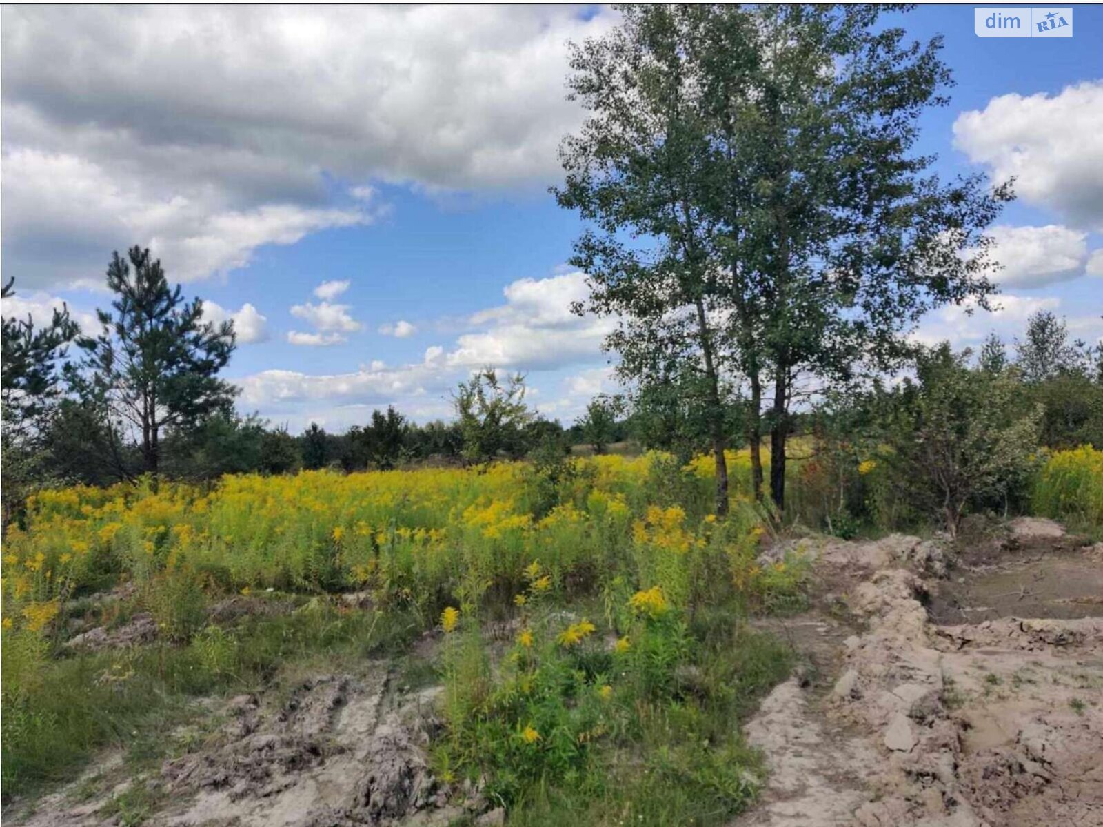 Земельна ділянка комерційного призначення в Покостівці, площа 1.06 Га фото 1
