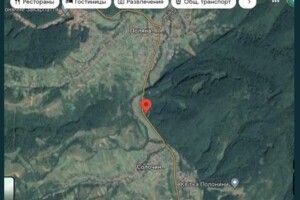 Земельна ділянка комерційного призначення в Поляна, площа 81 сотка фото 2 Земельна ділянка комерційного призначення в Поляна, площа 81 сотка фото 2