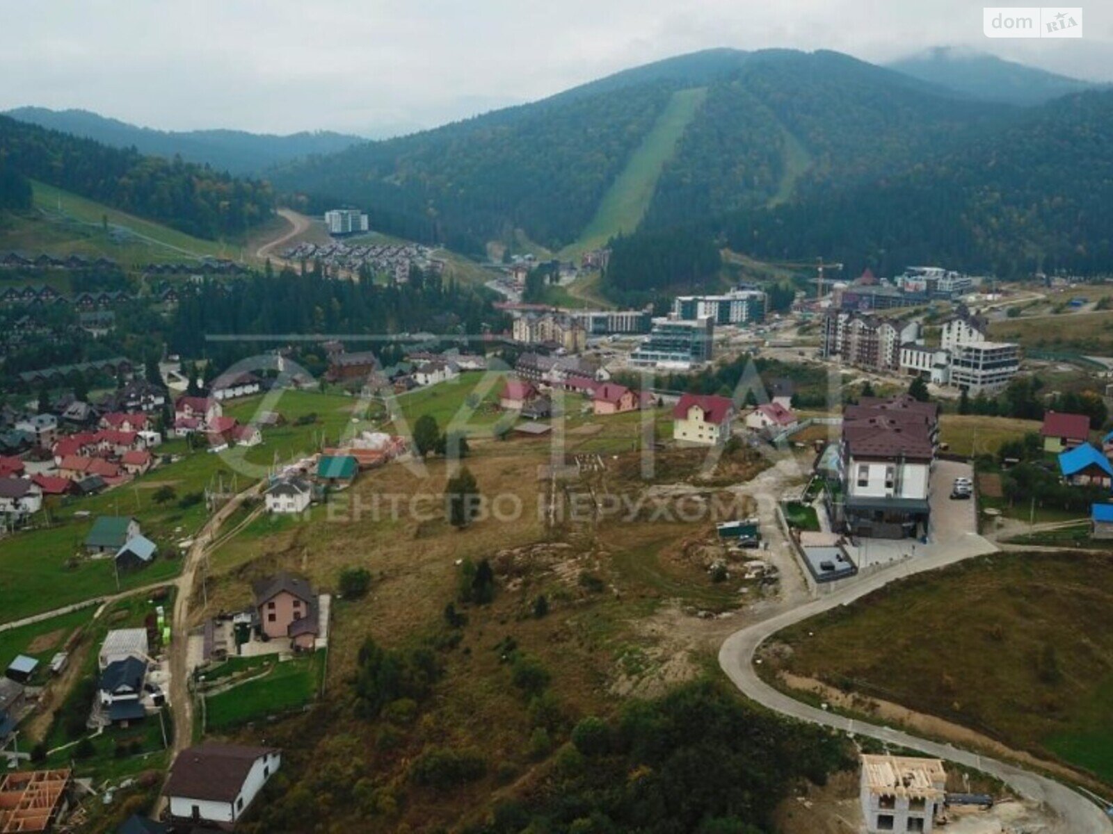 Земельна ділянка комерційного призначення в Поляниця, площа 76 соток фото 1