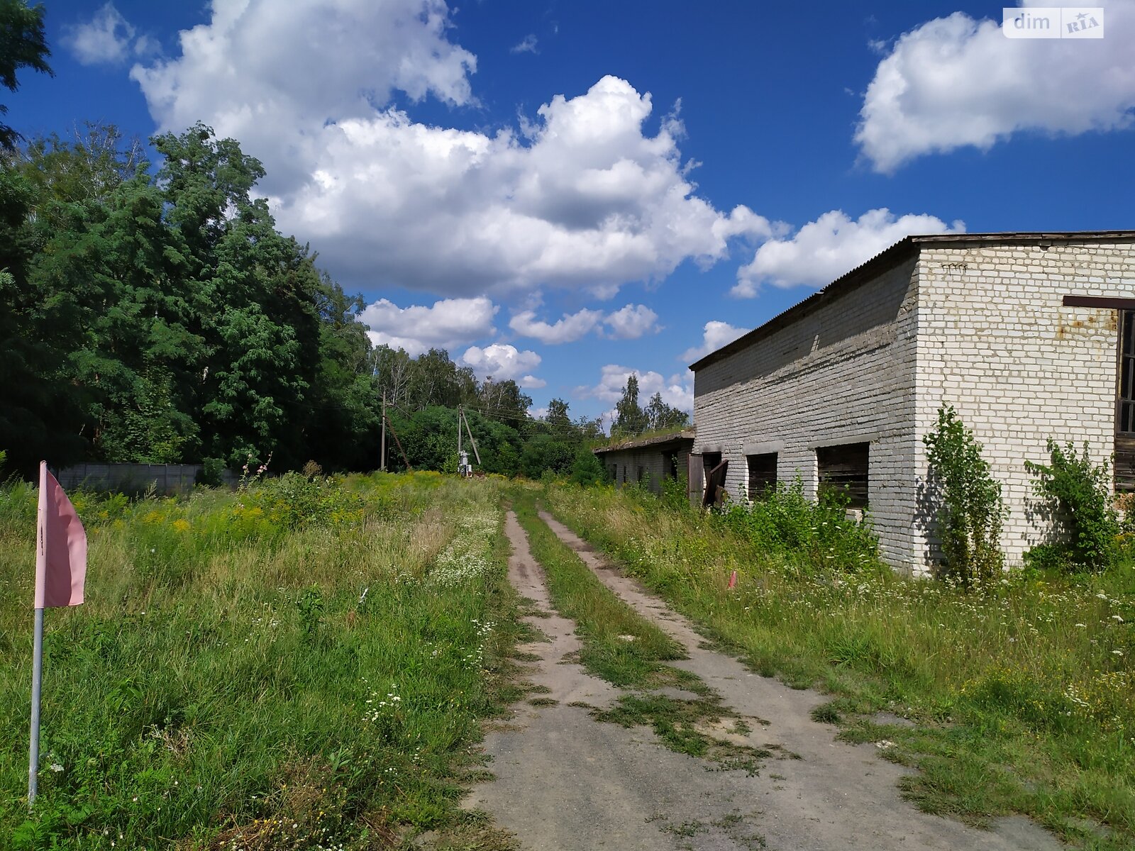 Земля комерційного призначення в Радомишлі, район Радомишль, площа 1 Га фото 1