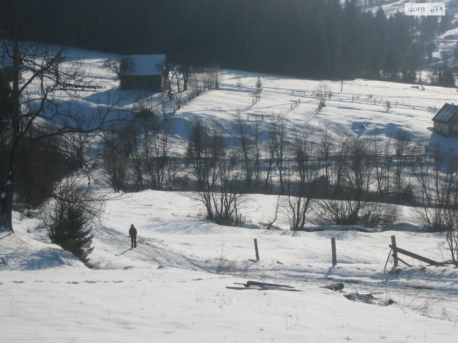 Земельна ділянка комерційного призначення в Лазещині, площа 1 Га фото 1