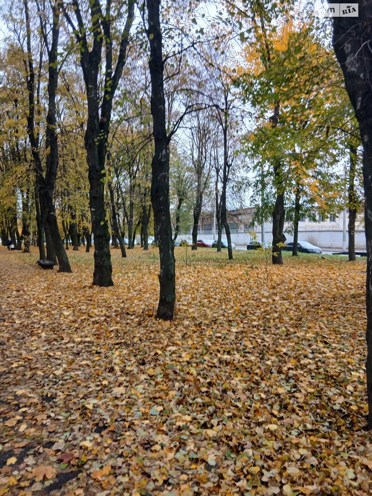 Земельный участок коммерческого назначения в Сатанове, площадь 45 соток фото 1