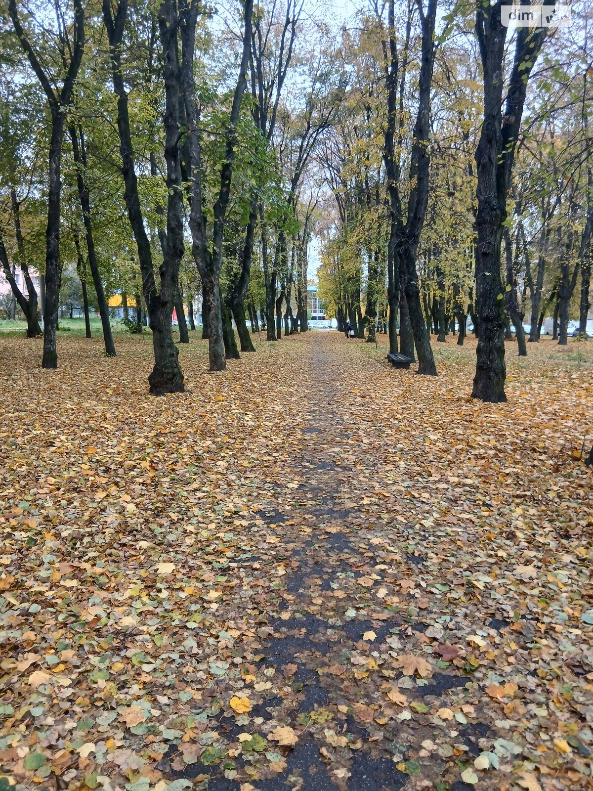 Земельный участок коммерческого назначения в Сатанове, площадь 45 соток фото 1