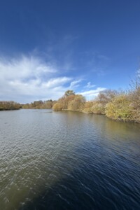 Земельный участок коммерческого назначения в Селище, площадь 27.7 сотки фото 2 Земельный участок коммерческого назначения в Селище, площадь 27.7 сотки фото 2