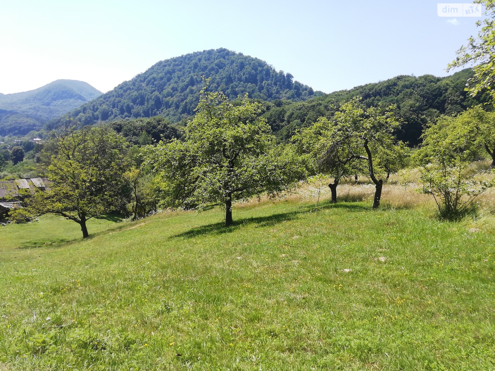 Земельна ділянка комерційного призначення в Шаяні, площа 81 сотка фото 1 Земельна ділянка комерційного призначення в Шаяні, площа 81 сотка фото 1
