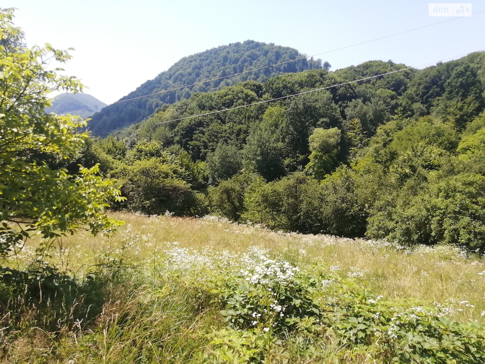 Земельна ділянка комерційного призначення в Шаяні, площа 81 сотка фото 1 Земельна ділянка комерційного призначення в Шаяні, площа 81 сотка фото 1