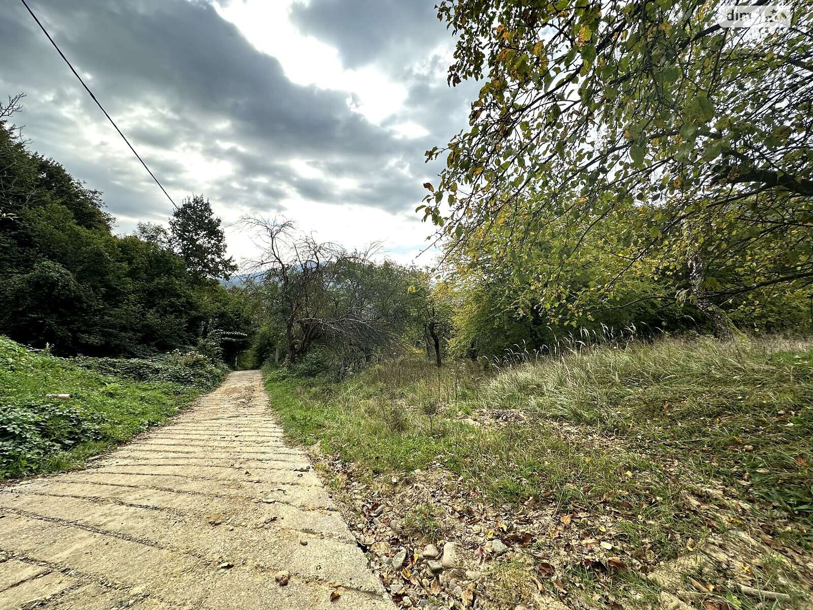 Земельна ділянка комерційного призначення в Шаяні, площа 81 сотка фото 1 Земельна ділянка комерційного призначення в Шаяні, площа 81 сотка фото 1