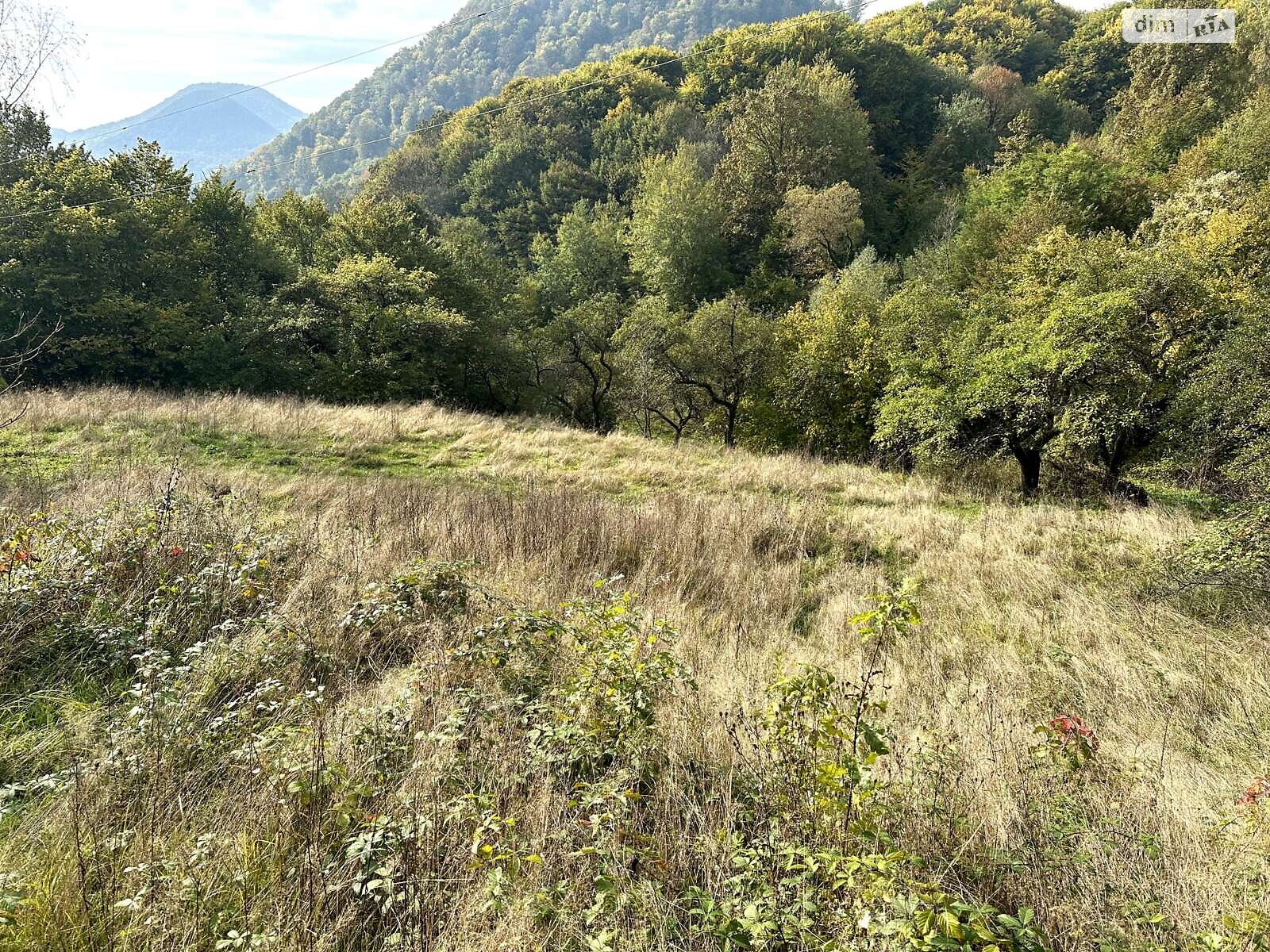 Земельный участок коммерческого назначения в Шаяне, площадь 81 сотка фото 1