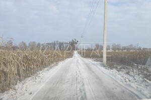 Земельна ділянка комерційного призначення в Шпитьках, площа 163 сотки фото 2