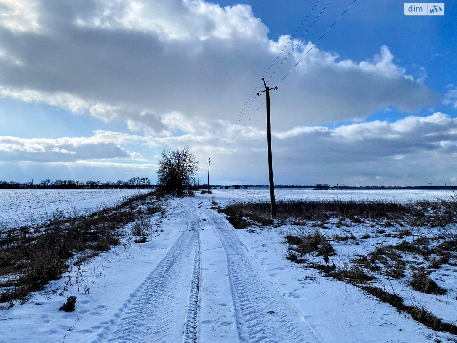 Земельна ділянка комерційного призначення в Ситняках, площа 200 соток фото 1