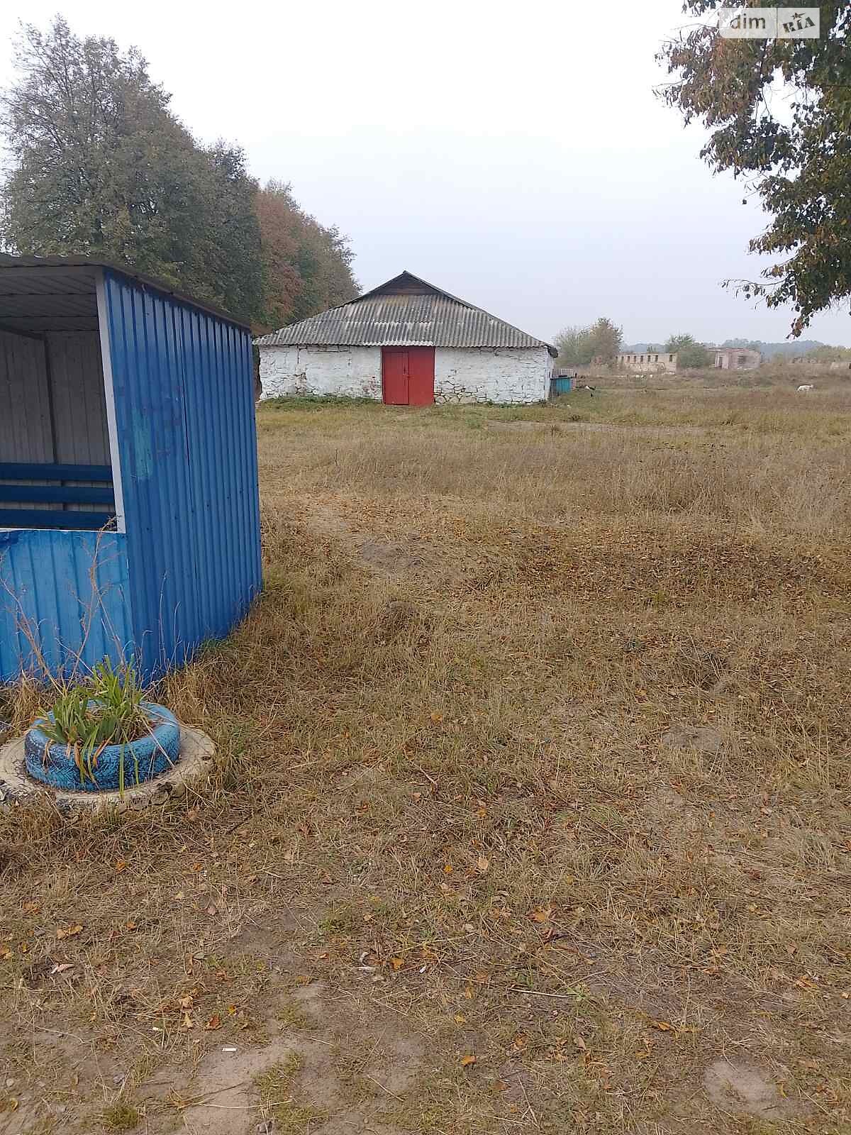 Земельна ділянка комерційного призначення в Сиваківцях, площа 400 соток фото 1 Земельна ділянка комерційного призначення в Сиваківцях, площа 400 соток фото 1