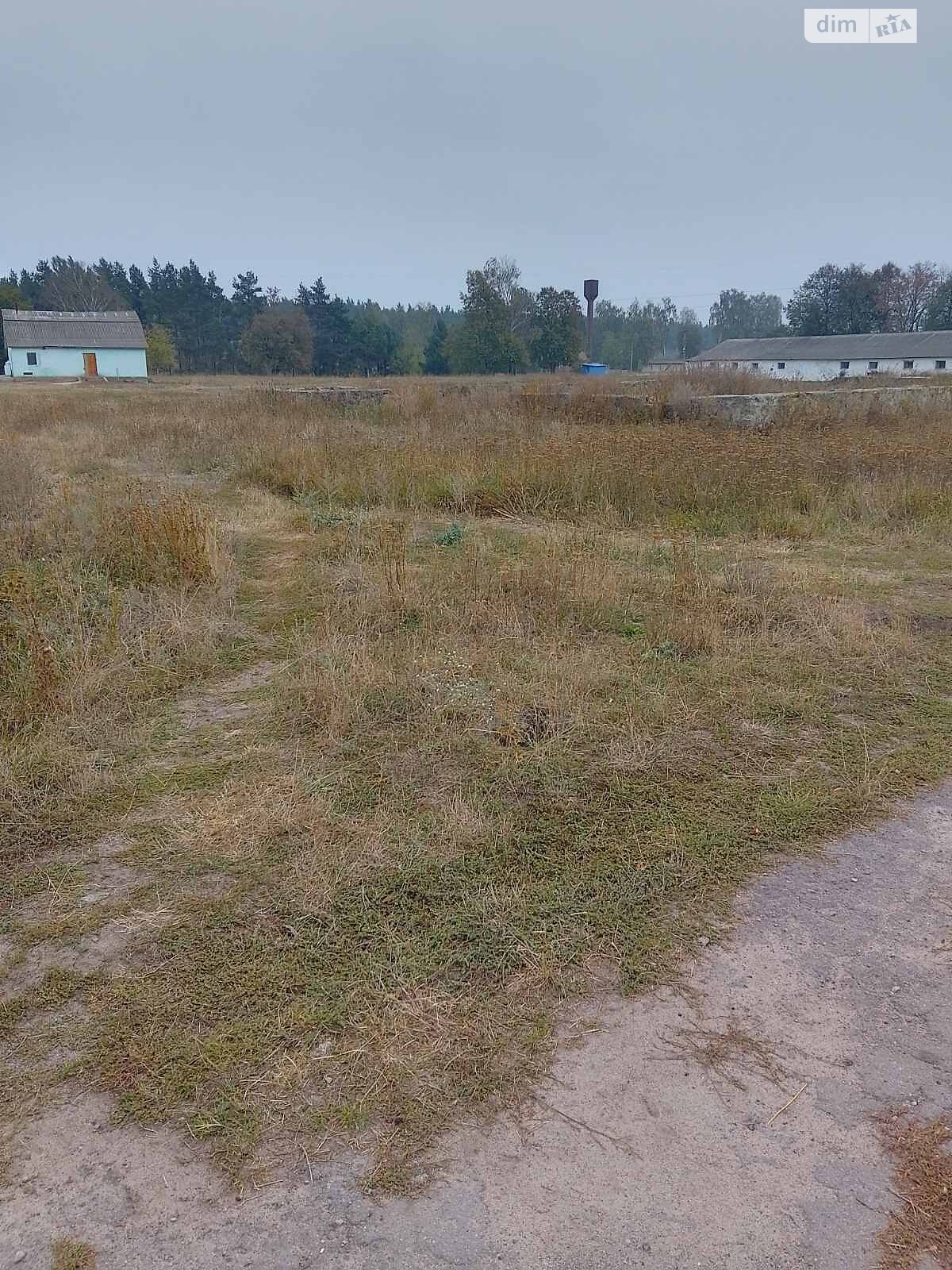 Земельна ділянка комерційного призначення в Сиваківцях, площа 400 соток фото 1 Земельна ділянка комерційного призначення в Сиваківцях, площа 400 соток фото 1