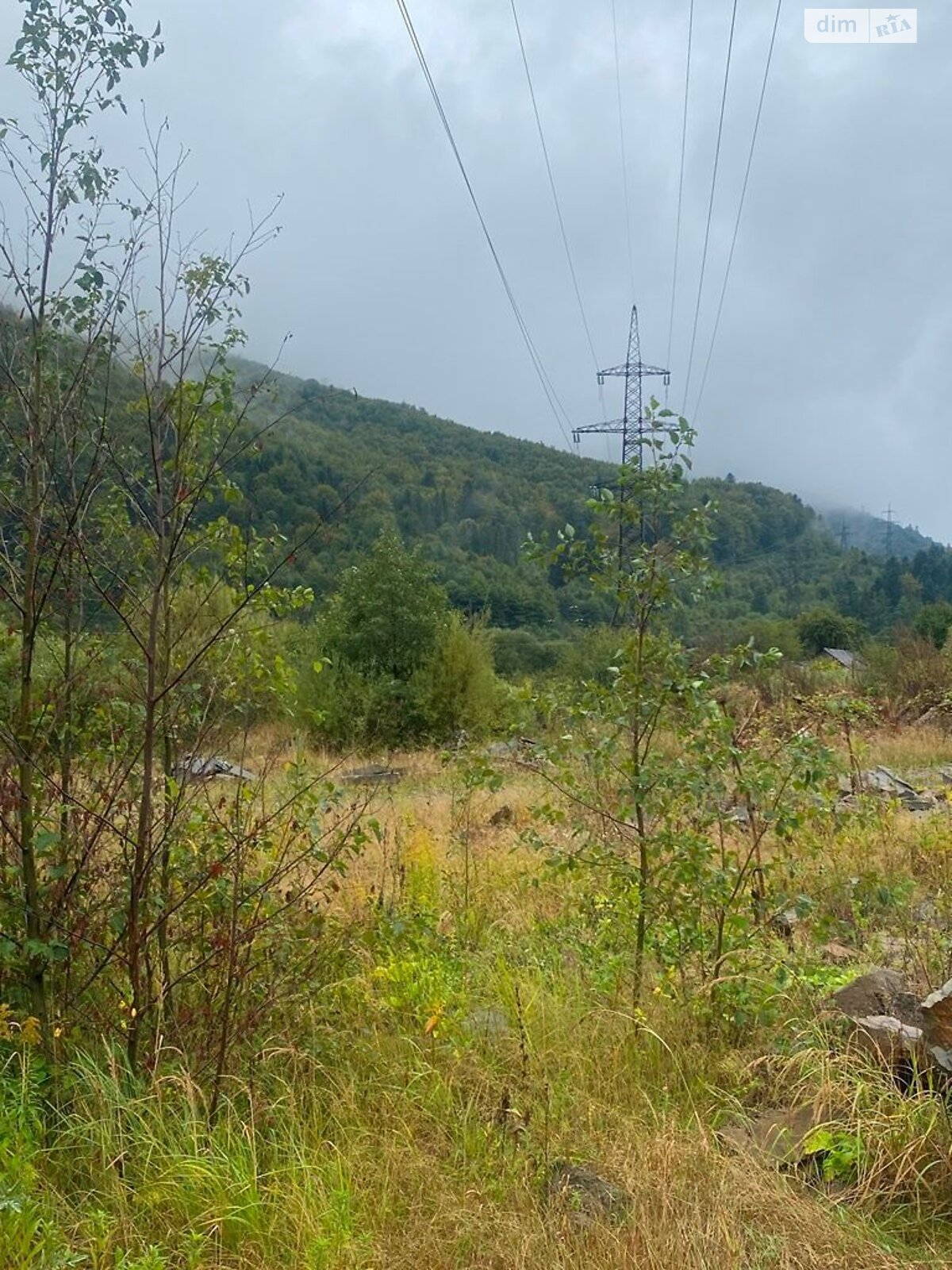Земельный участок коммерческого назначения в Сколе, площадь 0.0486 Га фото 1 Земельный участок коммерческого назначения в Сколе, площадь 0.0486 Га фото 1
